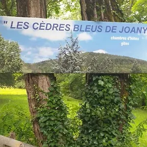 Les Cèdres Bleus De Joany , Viviez France
